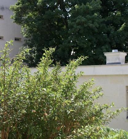 Le Petit Trianon, Parc Du Chateau Apartamento Versalles Exterior foto